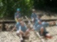 Saddleback_Daycamp_2004_3023.jpg